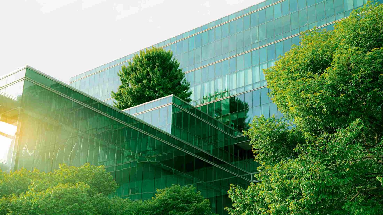 Glass building surrounded by leafy green trees
