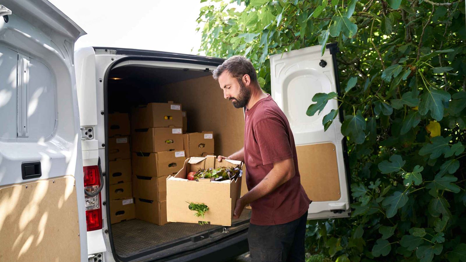Man loading boxes of goods into the back of a white van