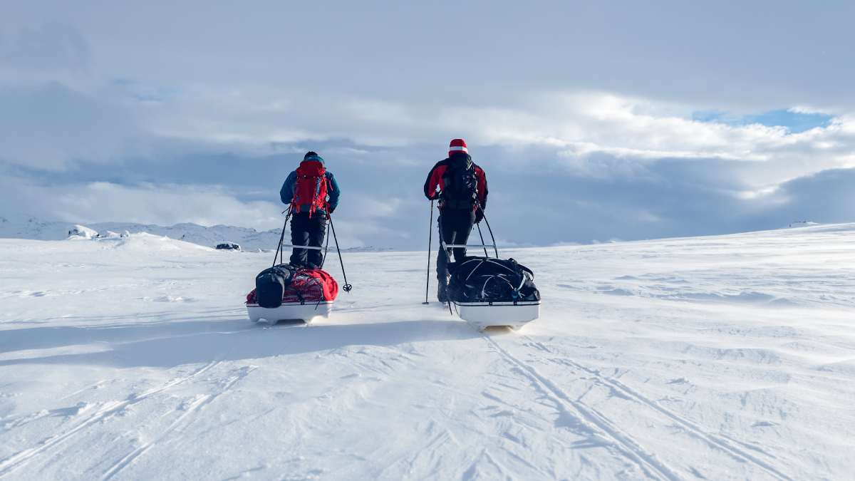 Two people on cross country skis dragging packs behind them in a snowy landscape